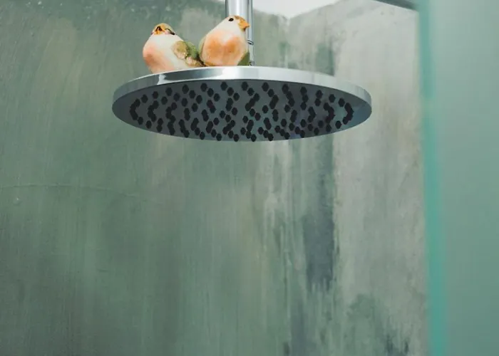 Rosarinho Cruz Invites To Atelier By The River *